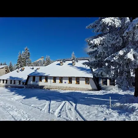 Winter Forest Vlasic Aparthotel Sisava