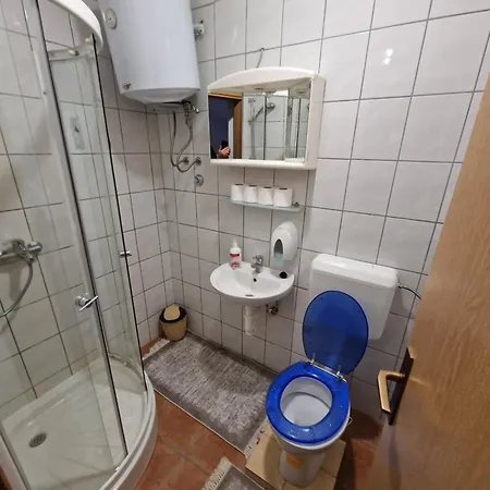 Winter Forest Vlasic Hostel *