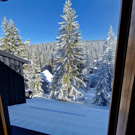 Winter Forest Vlasic * Sisava