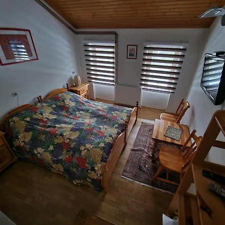 Winter Forest Vlasic Hostel *